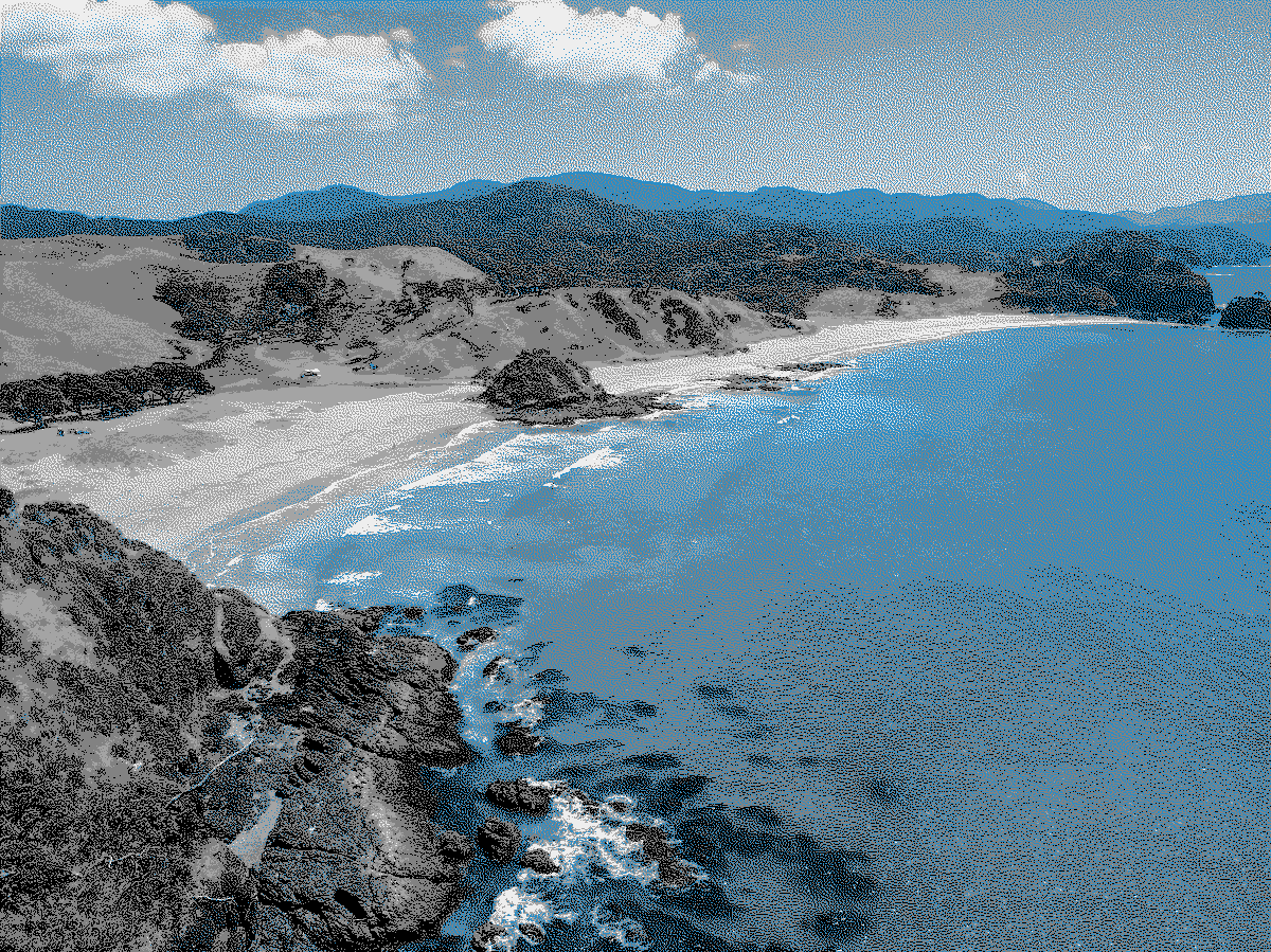 A stylised view of a New Zealand beach